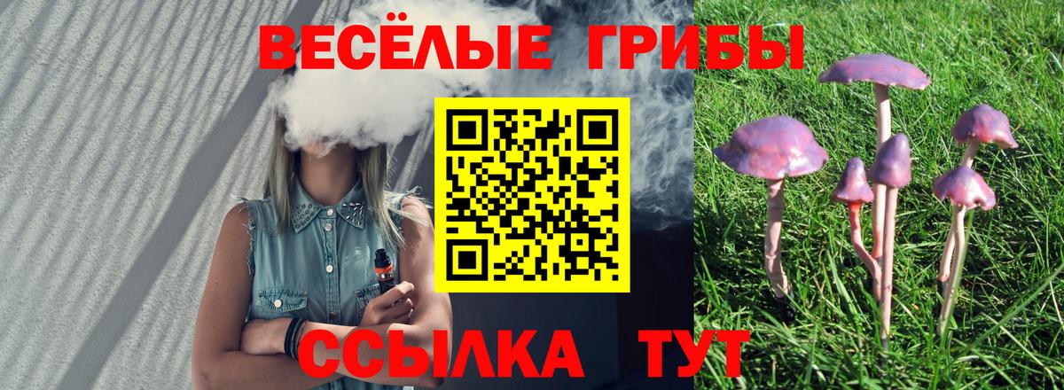 Галлюциногенные грибы мухоморы Выборг